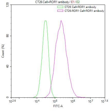 CSB-RA020067A1HU FC