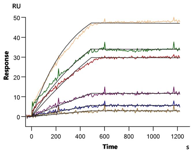 CSB-CF004843HU