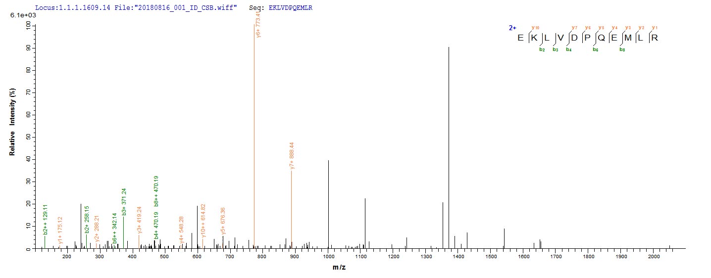 CSB-EP008575HU