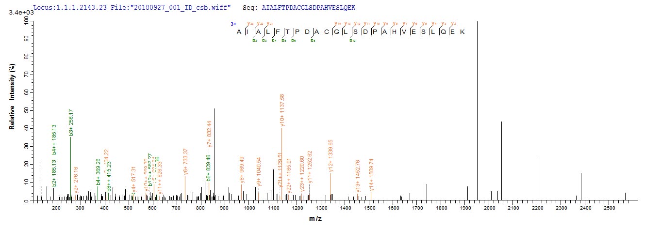 CSB-EP016058HU