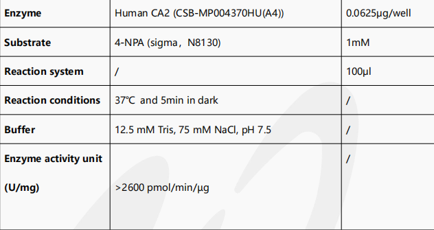 CSB-MP004370HU(A4)
