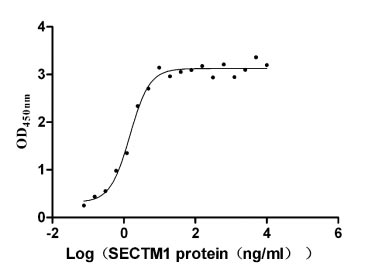 CSB-MP004953HU Activity Verified