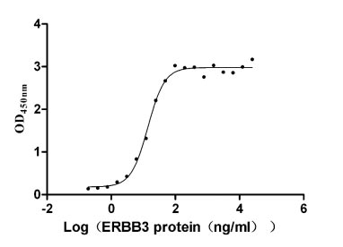 CSB-MP007765HU Activity Verified